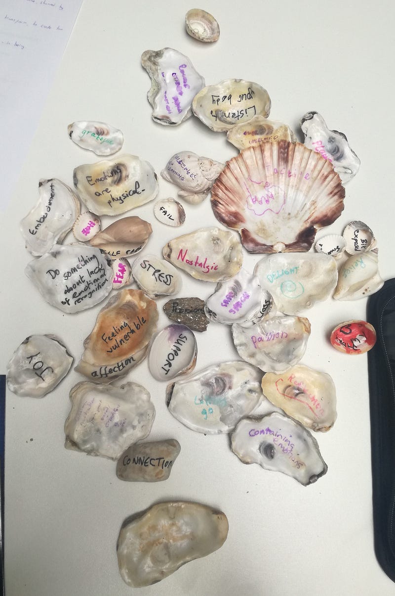 The photo titled “Emotion shells #4” is an expression of emotions and feelings from Nicole’s research into ableism in academia.