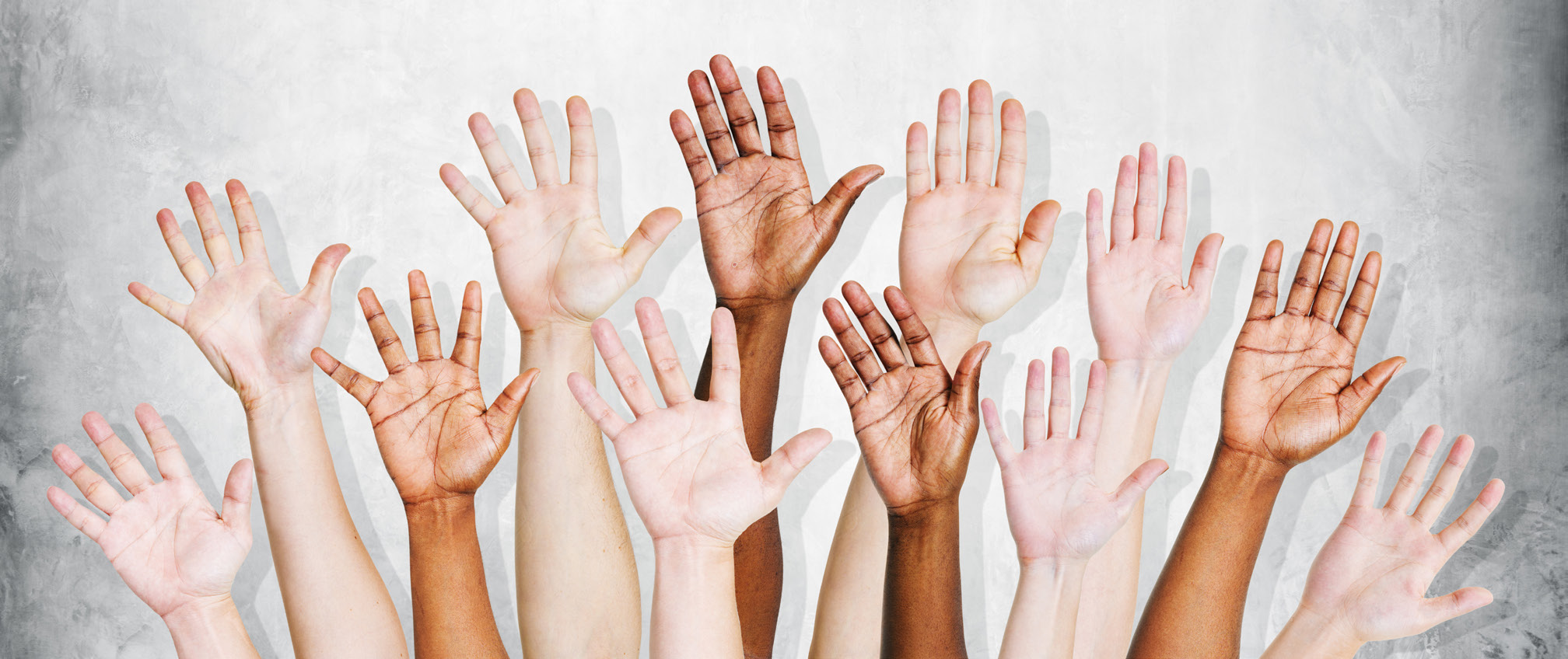 Diversity Hands