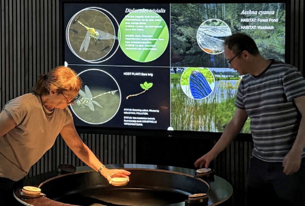 Jill and Toni present the interactive installation Worried Wings, in which dragonfly sculptures float in water. 