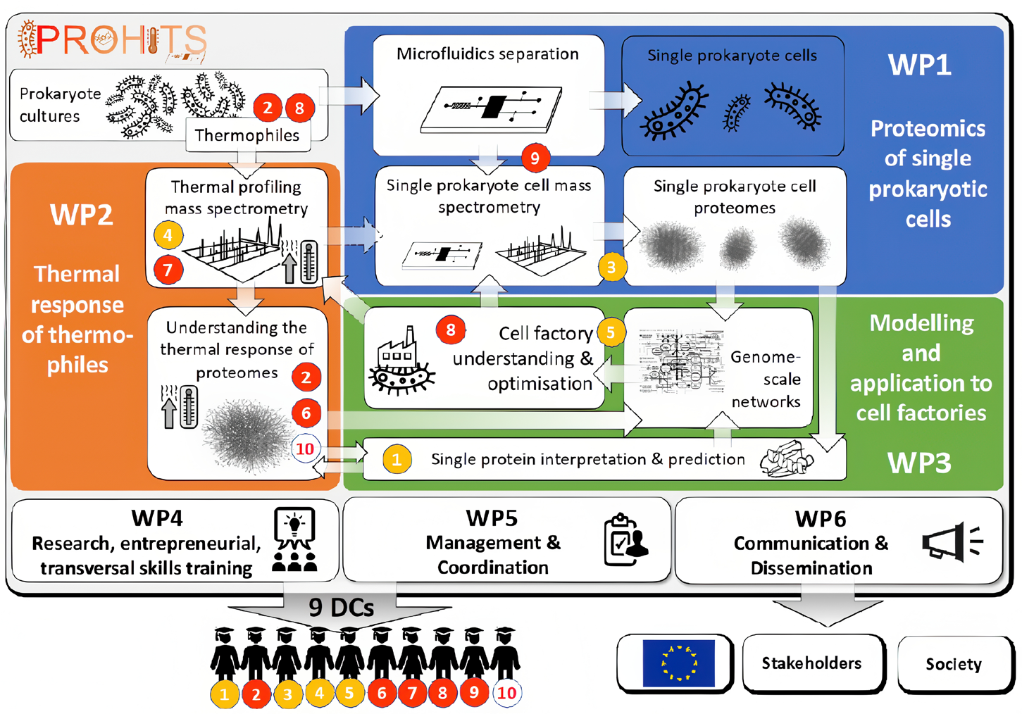Overview of the different work packages of PROHITS and the connections between the DCs responsibilities and expertise. DCs 1-9 are funded by PROHITS. DC 10 is funded by grant 2020-2.1.1-ED-2023-00269 from the Hungarian National Research, Development and Innovation Fund.