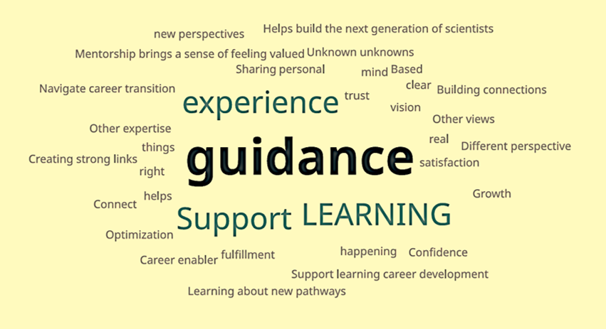 Slido response to: Why is Mentoring Essential?