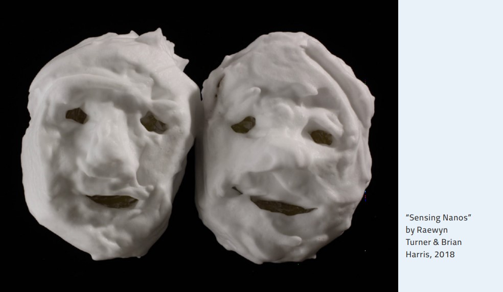 “Sensing Nanos” by Raewyn Turner & Brian Harris, 2018