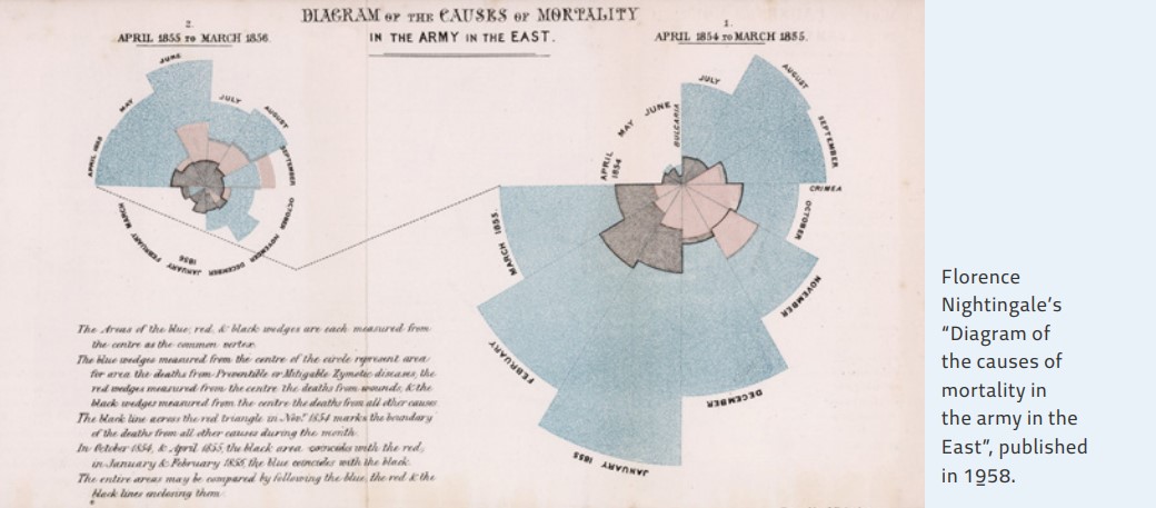 Diiagram of the causes of mortality