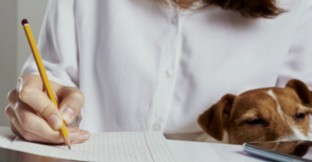 mcaa-learning-programme