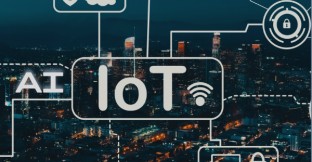 Advancing sustainability AI and IoT integration
