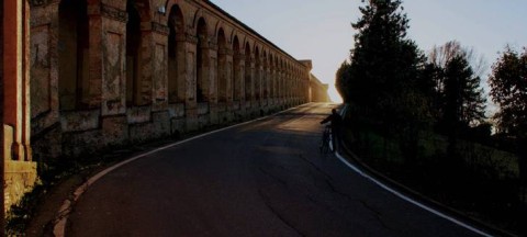 Analogy with the title of the article, from the dark to the light concerning some Image by Christina Makoundou scientific practice - picture taken in Bologna during the first MSCA project.