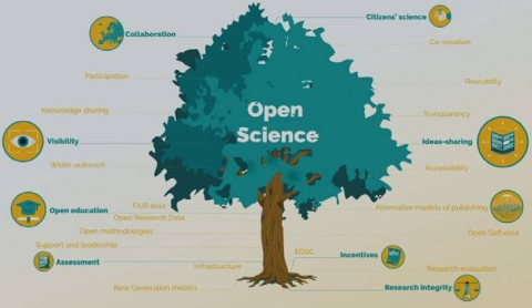 Elements and benefits of open science and its structure