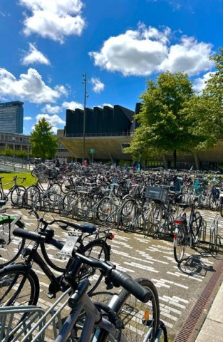 How open data fuels smarter micro-mobility?